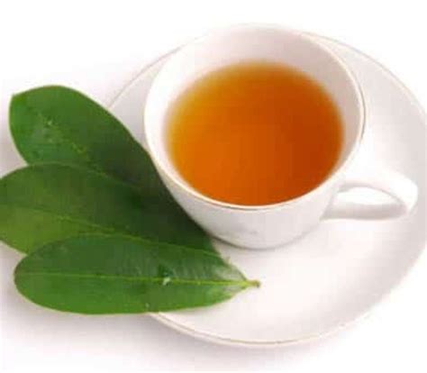 Soursop Tea Benefits and Side Effects - Lifestyle Foodies🍎