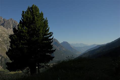 Blick Ins Val Ferret Fotos Hikr Org