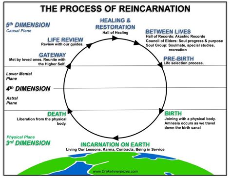 The Process of Reincarnation & the State of the Afterlife | Reincarnation, Spirituality, Life review