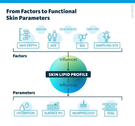 Variability Of Skin Lipidomics Profiles Skin Lipidomics Of Skin