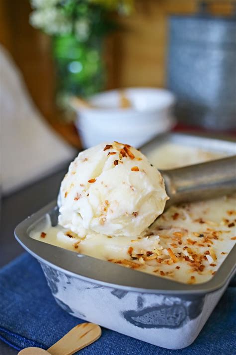 Toasted Coconut Frozen Yogurt Recipe Girl