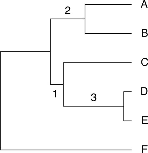 phylogram   data simulations  scientific diagram