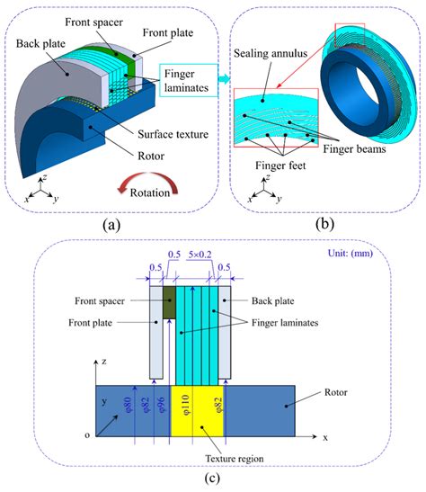 Schematic diagram of the finger seal: (a) general structure, (b) single... | Download Scientific ...