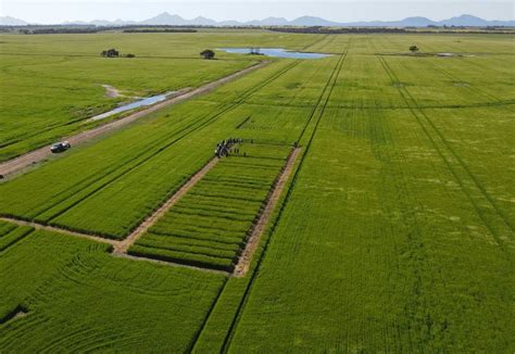 2021 Innovate with nbn™ Grants Program: the winners | nbn