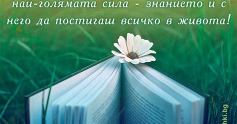 Пожелавам ти знание 24 май Картички и Пожелания за Празници