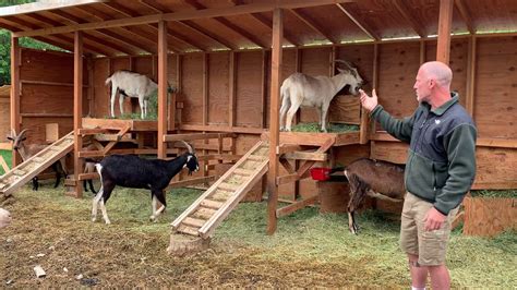 Types Of Goat Shed Design Talk