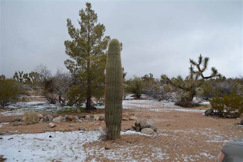 More Wintry Weather in Mohave County | Amazing Arizona Land Company