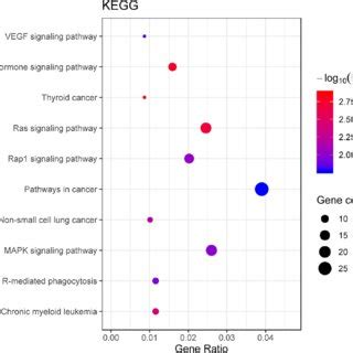 The GO Analysis Of MiR 1180 3p Target Genes WebGestalt Https