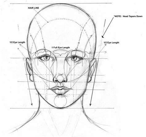 Aprenda A Desenhar Desenho Digital Como Desenhar O Rosto Humano Porn