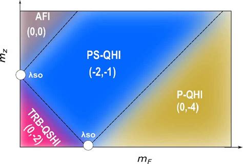 Phase diagram in the (mF−mz) plane. Solid black lines symbolize phase... | Download Scientific ...