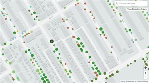 New NYC Map Has Data on Nearly 1 Million Trees – NBC New York