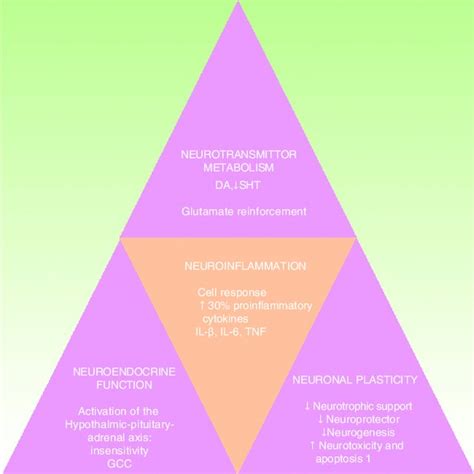 Inflammation in the etiology and pathogenesis of depression. | Download Scientific Diagram