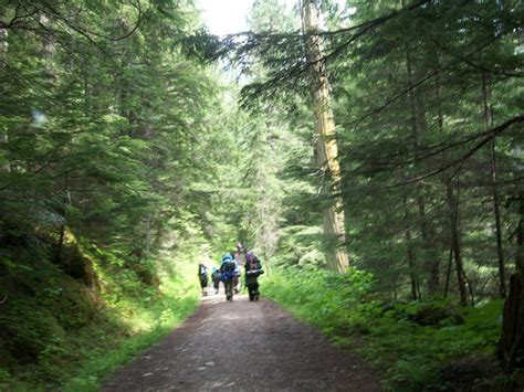 Valemount trails find national funding - The Rocky Mountain Goat