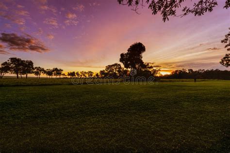 Gorgeous Sunrise in Africa, Safari Stock Photo - Image of namibia ...