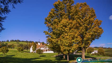 Scenic Vermont Photography - Autumn foliage in Woodstock Vermont