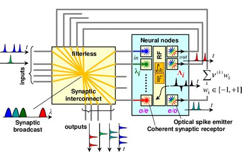 Hybrid opto-electronic coherent optical neural network architecture.... | Download Scientific ...