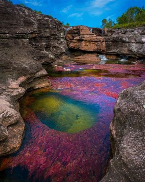 Ca O Cristales Colombia Colombia Travel Travel Most Beautiful Places