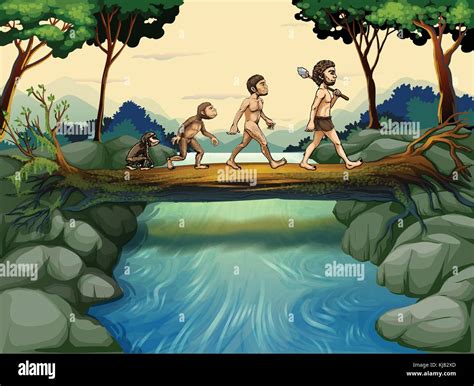 Evolution Of Man Stock Vector Images Alamy