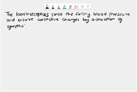 SOLVED: Explain the function of the baroreceptor reflex, how it ...