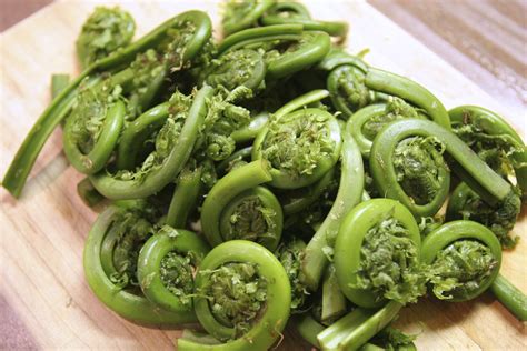 Fiddleheads Edible Earth Farm