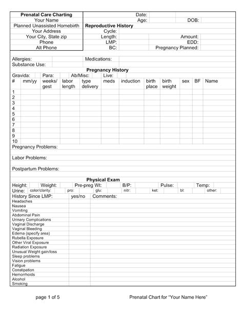 Our Birth Journeys Prenatal Care Chart Blank