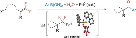 Palladium‐catalyzed Defluorinative Coupling Of Difluoroalkenes And Aryl