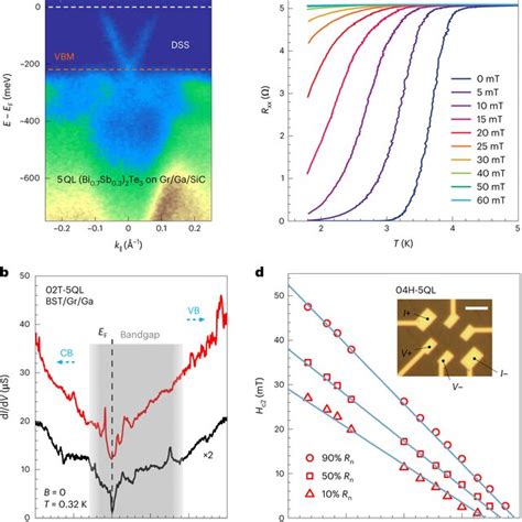 Proximity Induced Superconductivity In BST Gr Ga Heterostructures A