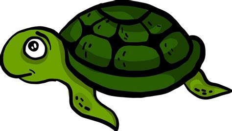 Scared green turtle, illustration, vector on white background. 13599798 ...