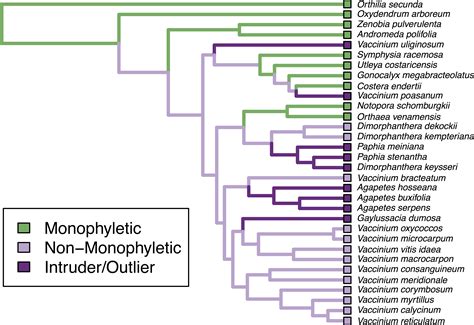 MonoPhy A Simple R Package To Find And Visualize Monophyly Issues PeerJ