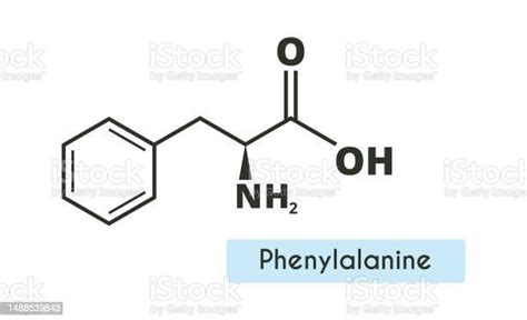 Phenylalanine Molecule Structure Stock Illustration - Download Image ...