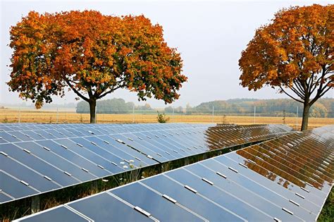 Staatliche Förderung Sonnenenergie Solarthermie Photovoltaik manager