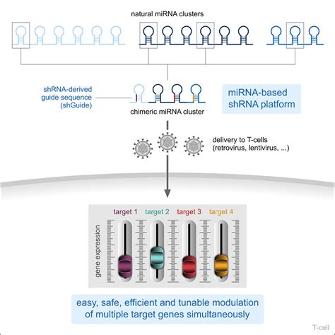 Celyad Oncology Published In Molecular Therapy Nucleic Acids A