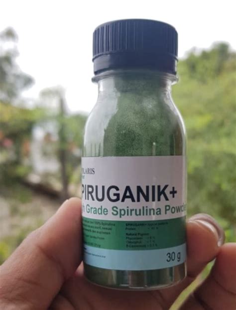 SPIRUGANIK 30 GRAM SPIRULINA POWDER PLATENSIS PAKAN KUTIR DAPHNIA