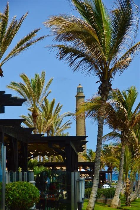 8 Best Things To Do In Maspalomas I Boutique Adventurer