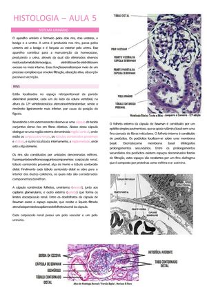 Histologia Língua E Parótida HISTOLOGIA AULA 4 LÍNGUA A língua é