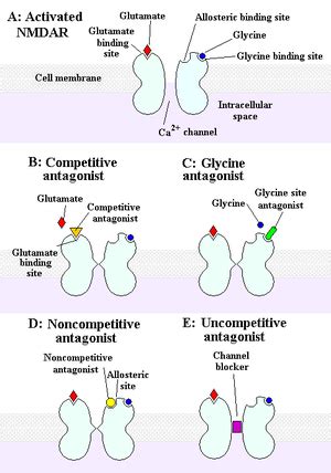 NMDA receptor antagonist - Wikipedia