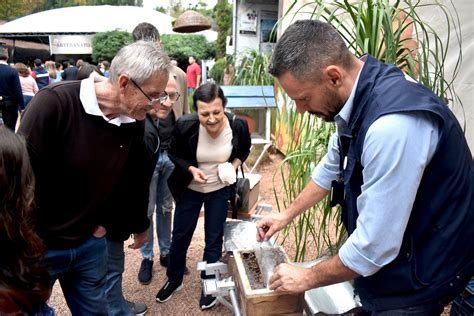 Visite O Caminho Das Abelhas Na Feira Do Mel Rosca E Nata Jornal O