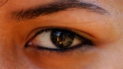 Why do different people have different coloured eyes? - The Hindu