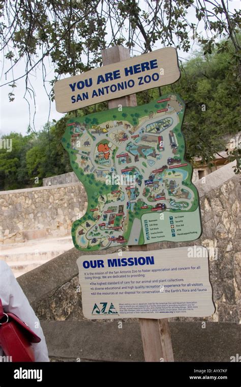 "You are here" map in San Antonio Zoo Texas TX USA Stock Photo - Alamy