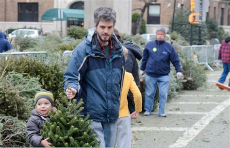 Recycle your Christmas tree in the neighborhood | Brooklyn Bridge ...