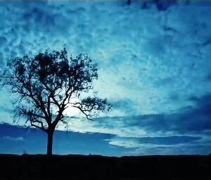 Sexy Miranda Tapsell Nude Words With Gods 2014 Video Best Sexy Scene HeroEro Tube