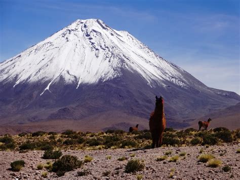 Viagens Am Rica Do Sul Lugares No Deserto Do Atacama Places