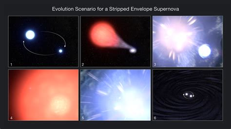 Resilient star survives a giant supernova explosion | Mashable