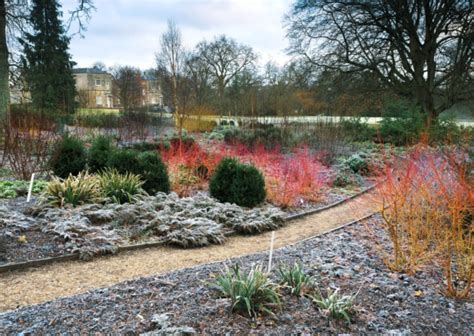 Spectacular Winter Gardens To Visit The English Garden