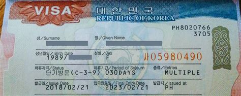 South Korea Introduces Online Visa System for Foreign Workers | Online ...