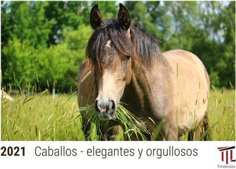 Caballos Elegantes Y Orgullosos 2021 Timokrates Calendarios De