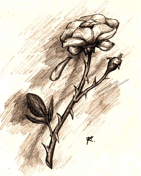 Withering Rose by KonstantinePal on DeviantArt