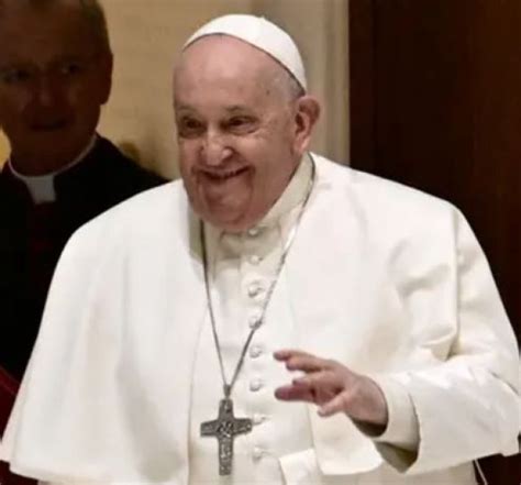 Javier Milei Y El Papa Francisco Se Reunir N Voz En Red