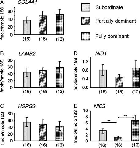 MeanGS E M Levels Of MRNA Relative To 18S RRNA In Granulosa Cells Of