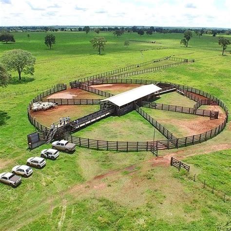 Cattle barn designs layouts – Artofit